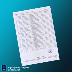 Country_ Bank_Issuer_ IC Document Type_ Bank Statement Editable Bank Statement Template in Word and PDF formats