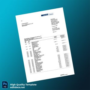 Denmark Danske Bank Statement Template in Word and PDF formats
