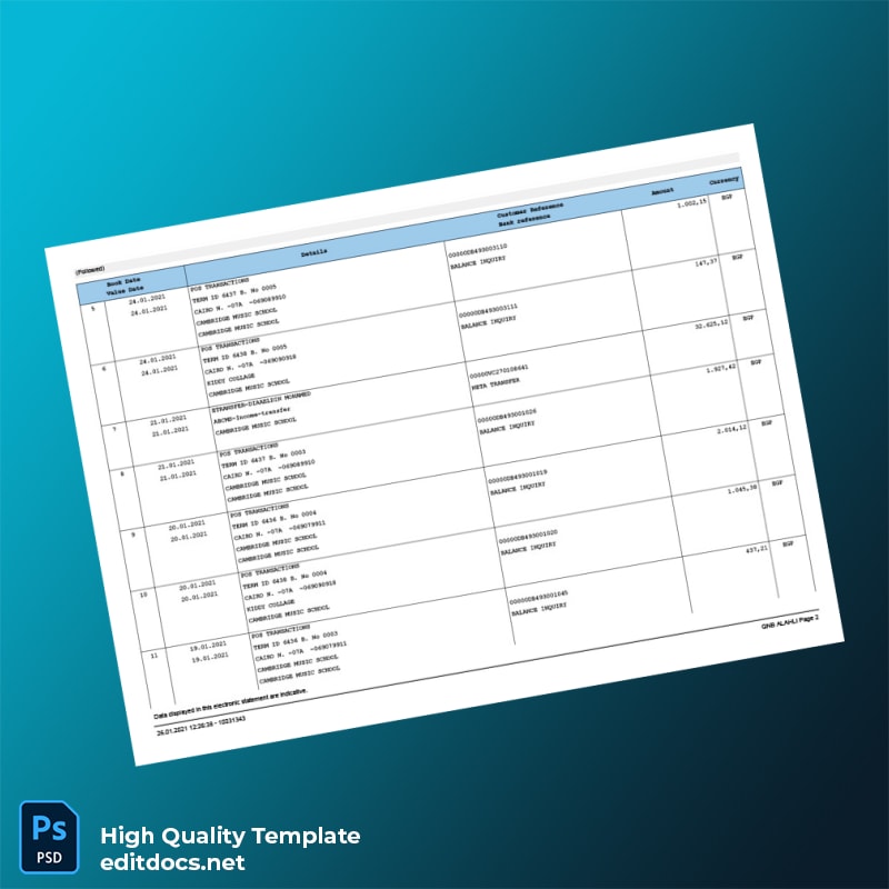 Egypt QNB Bank Statement Template in Word and PDF formats page 2