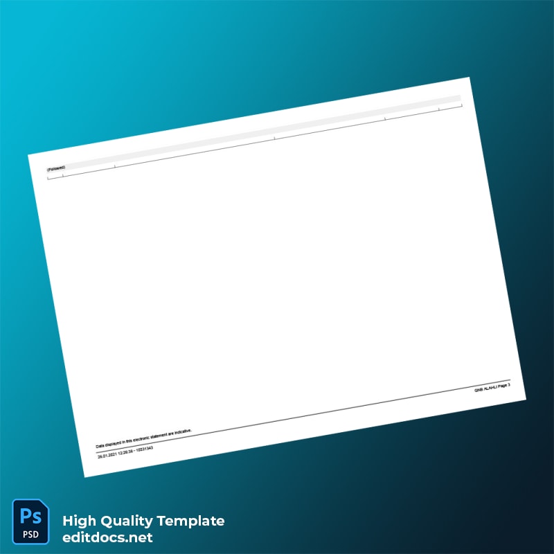 Egypt QNB Bank Statement Template in Word and PDF formats page 3