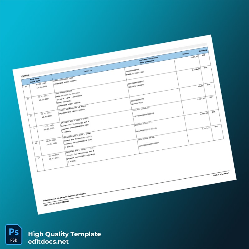 Egypt QNB Bank Statement Template in Word and PDF formats page 4