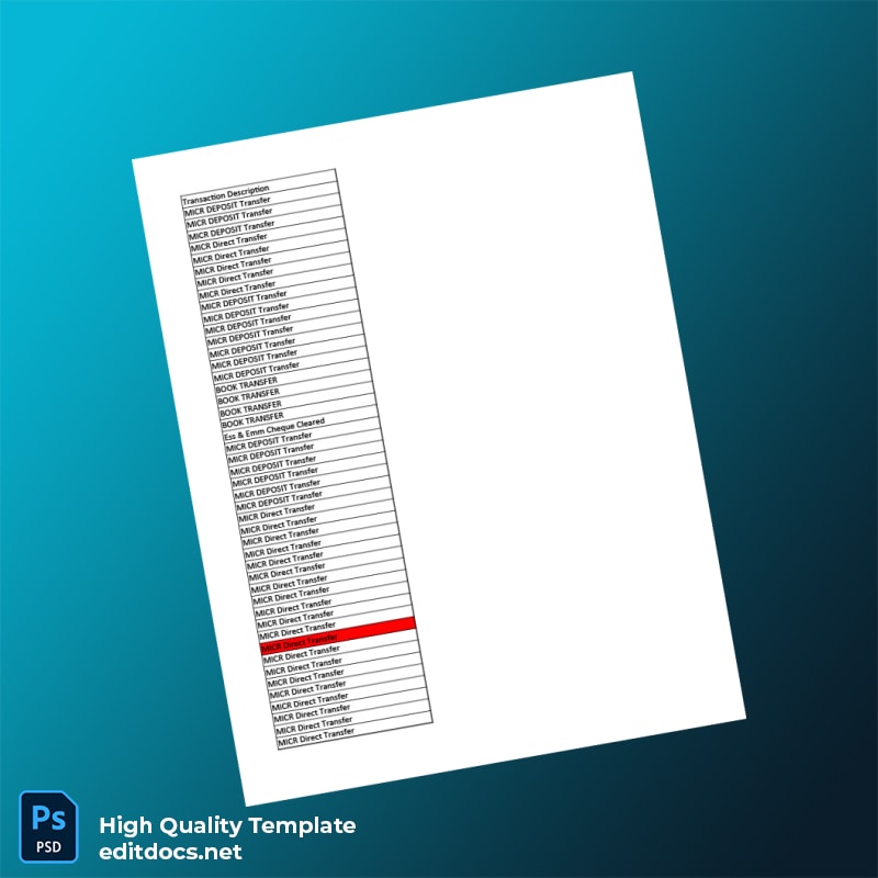 India Citi Bank Statement Template in Word and PDF formats page 4