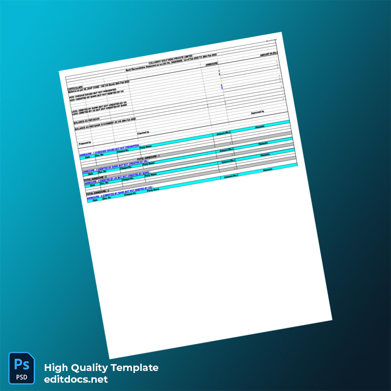 India Citi Bank Statement Template in Word and PDF formats