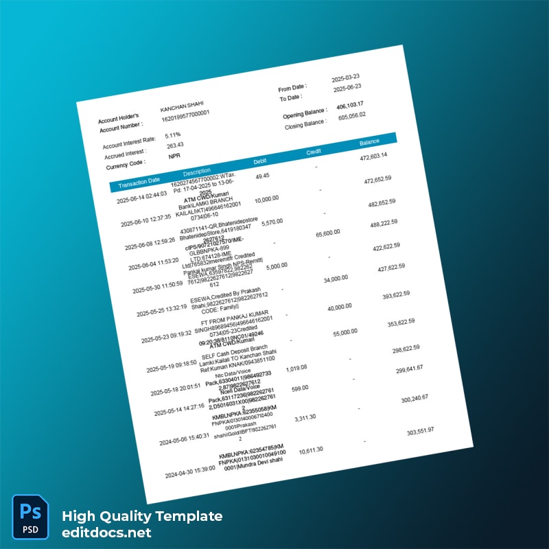India Electronic Account Statement Template in Word and PDF formats page 2