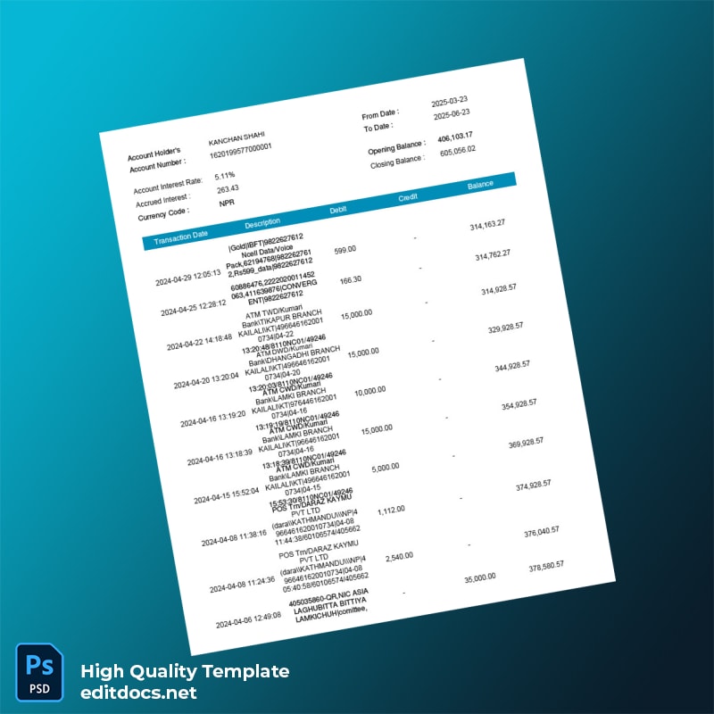 India Electronic Account Statement Template in Word and PDF formats page 3