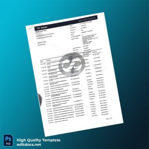 India Kotak Mahindra Bank Statement Template in Word and PDF formats