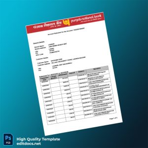 India Punjab National Bank Statement Template in Word and PDF formats