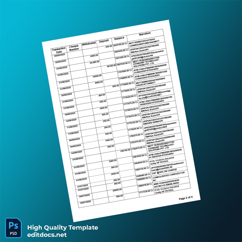 India Punjab National Bank Statement Template in Word and PDF formats page 2