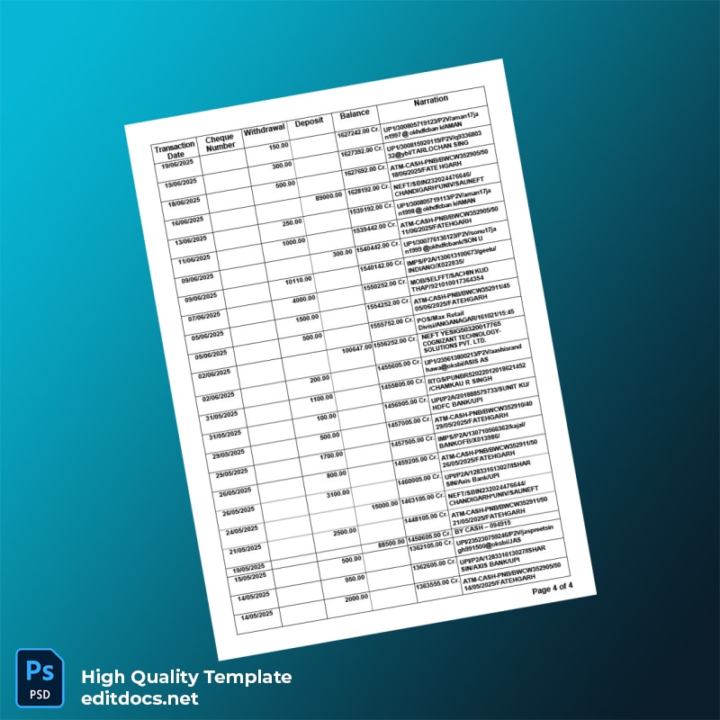 India Punjab National Bank Statement Template in Word and PDF formats page 4