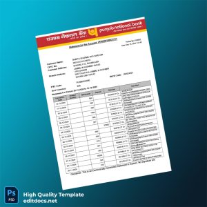 India Punjan Bank Statement Template in Word and PDF formats