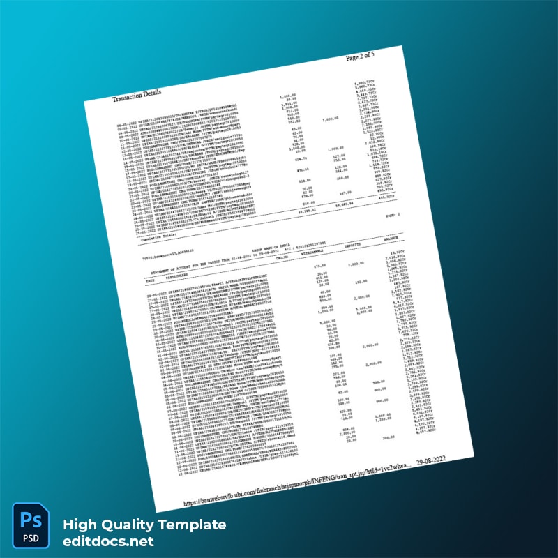 India Union Bank of India Bank Statement Template in Word and PDF formats page 2