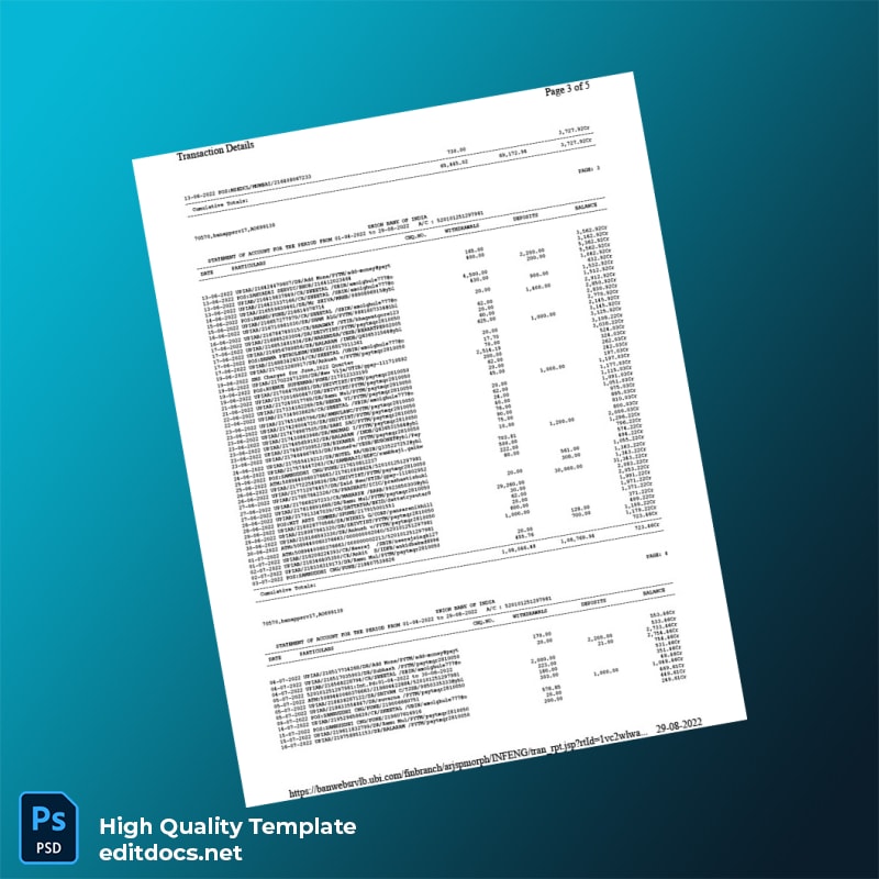 India Union Bank of India Bank Statement Template in Word and PDF formats page 3