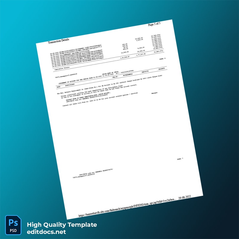 India Union Bank of India Bank Statement Template in Word and PDF formats page 5