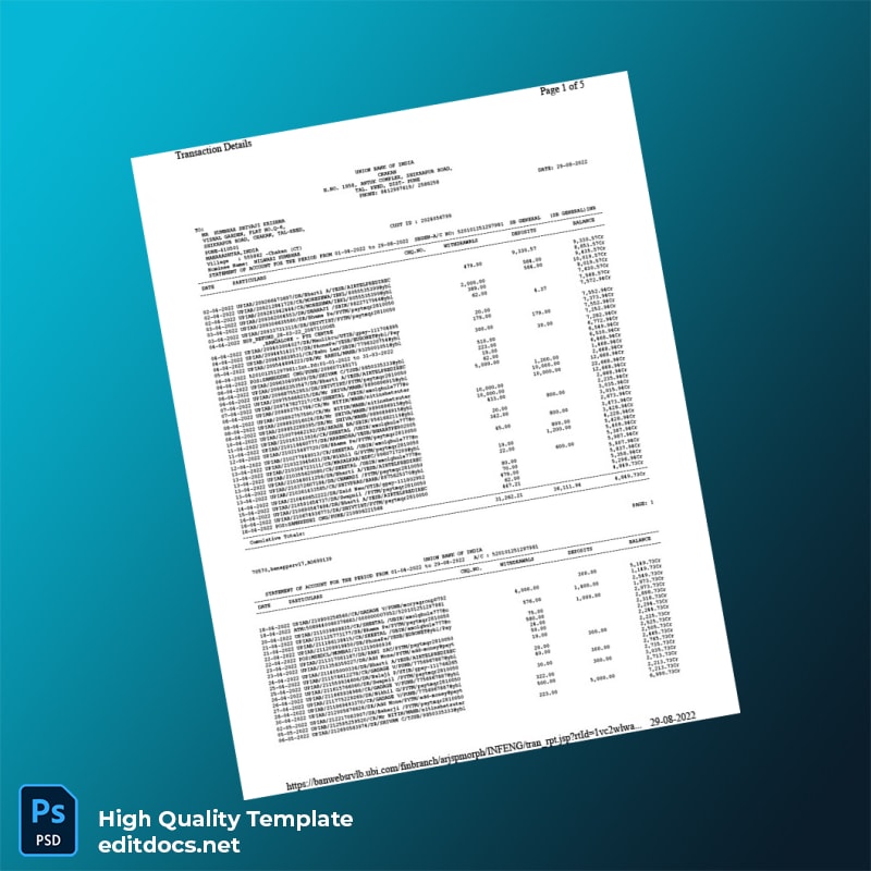 India Union Bank of India Bank Statement Template in Word and PDF formats