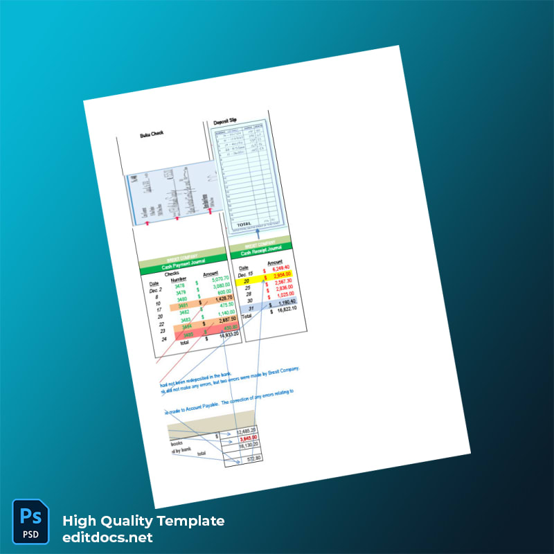 Indonesia Bank Nasional Indonesia Bank Reconciliation Template in Word and PDF formats page 3