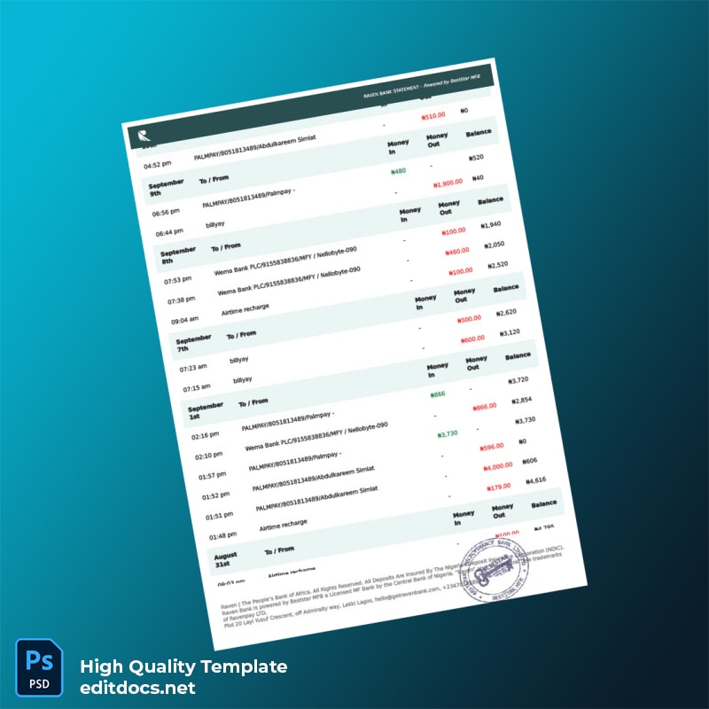 Nigeria Raven Bank Statement Template in Word and PDF formats page 3