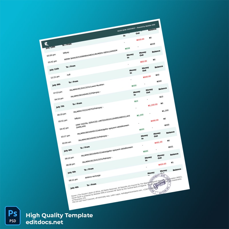 Nigeria Raven Bank Statement Template in Word and PDF formats page 6