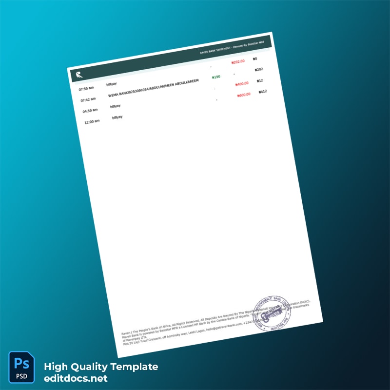 Nigeria Raven Bank Statement Template in Word and PDF formats page 8
