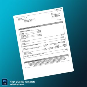 Singapore Citibank Account Statement Template in Word and PDF formats