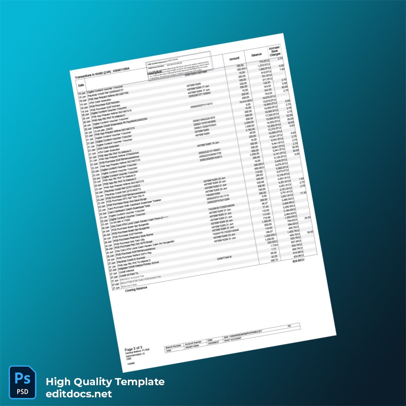 South Africa Easy Account Bank Statement Template in Word and PDF formats page 2