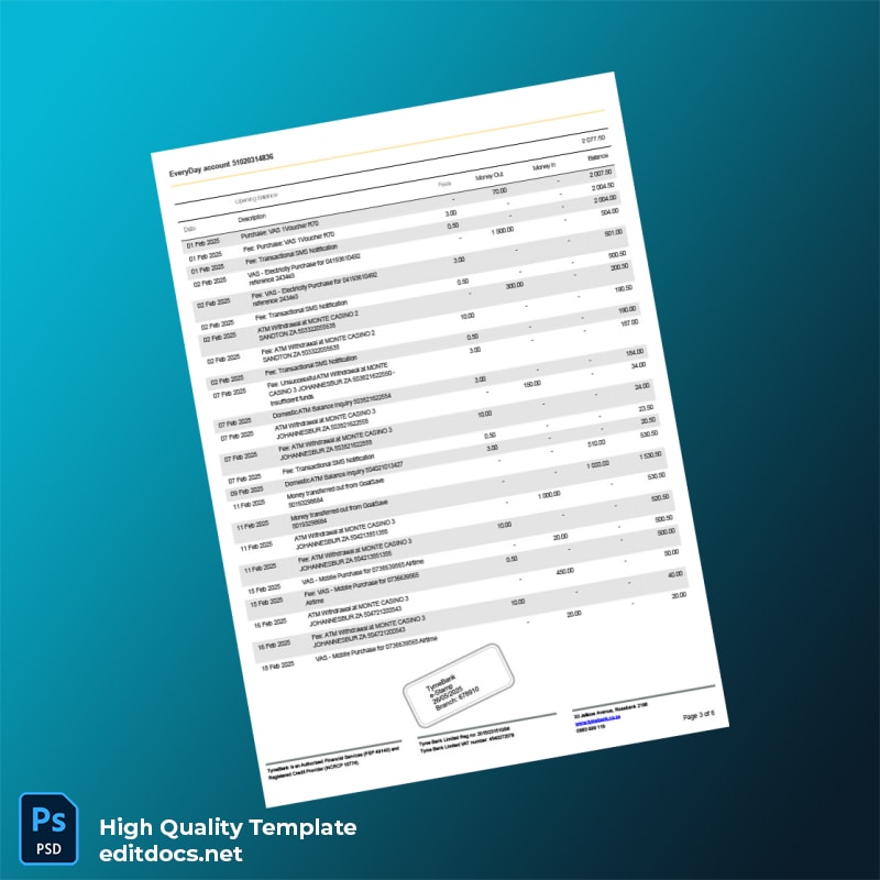 South Africa TymeBank Bank Statement Template in Word and PDF formats page 3