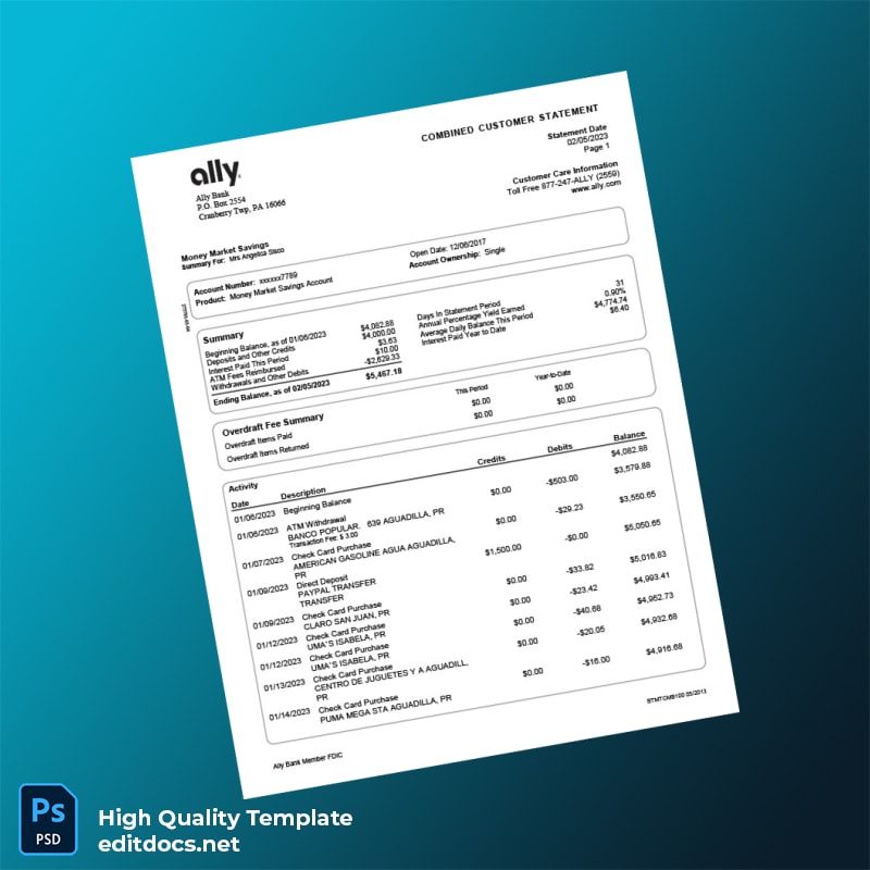 USA Ally Bank Statement Template in Word and PDF formats page 2