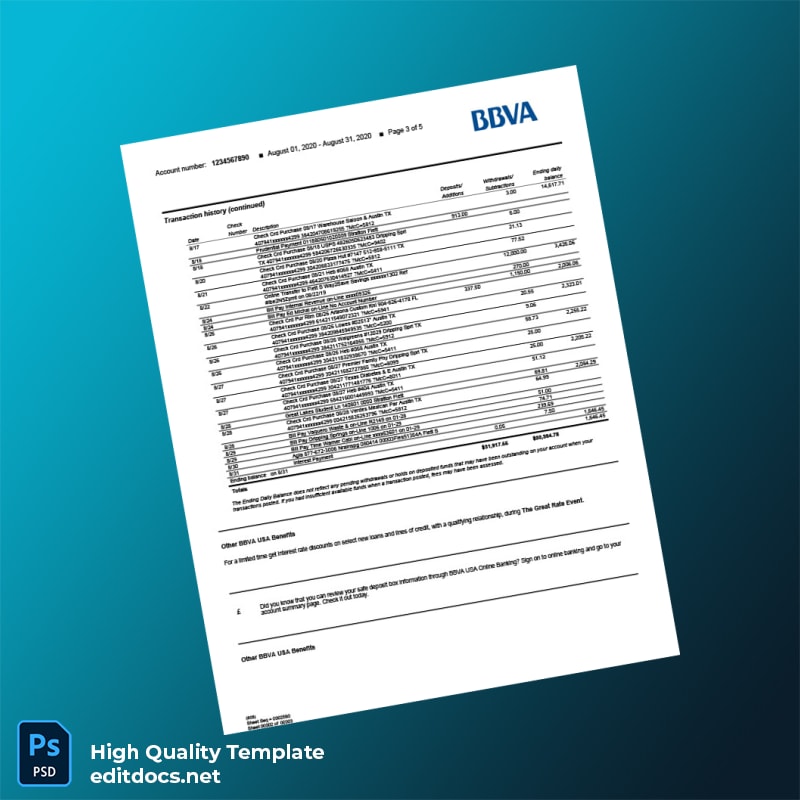 USA BBVA Bank Statement Template in Word and PDF formats page 3