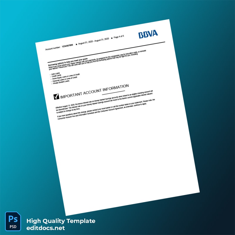 USA BBVA Bank Statement Template in Word and PDF formats page 4