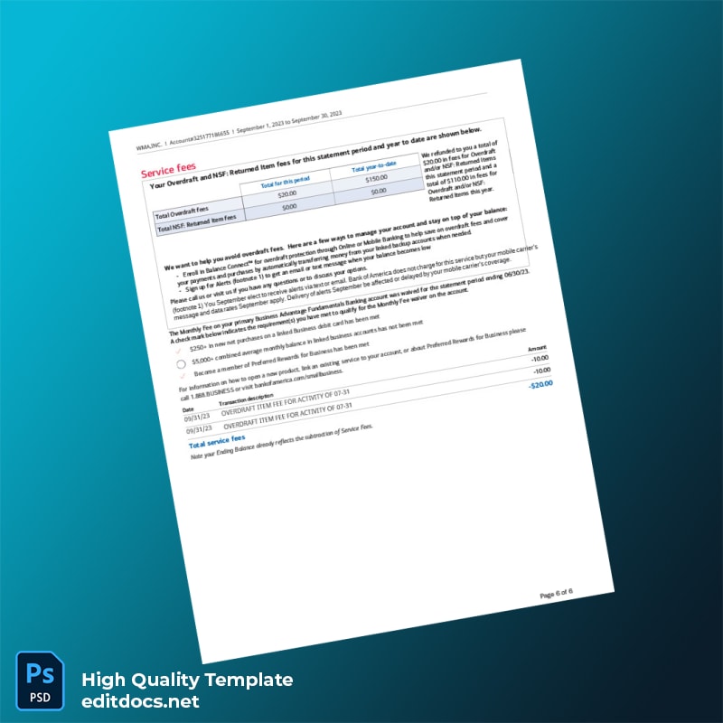 USA Bank of America Statement Template in Word and PDF formats page 6