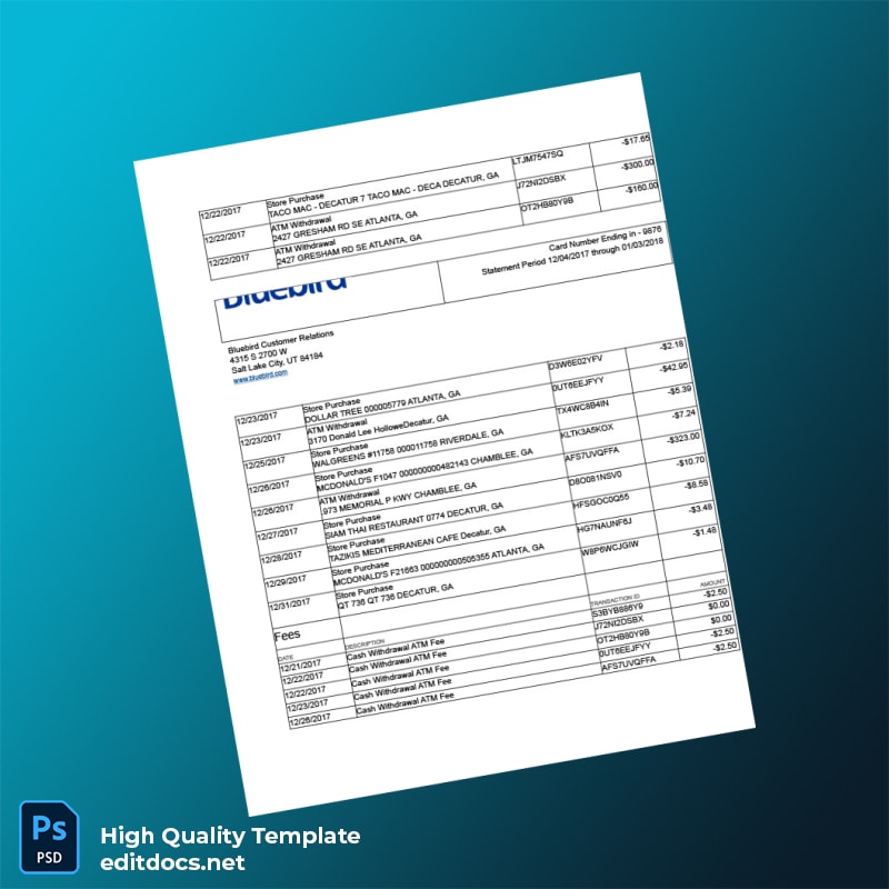 USA Bluebird Bank Statement Template in Word and PDF formats page 2