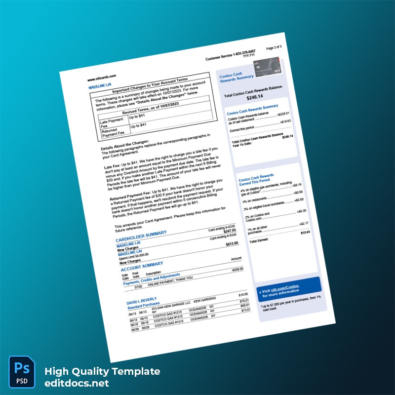 USA Citi Bank Statement Template in Word and PDF formats page 2