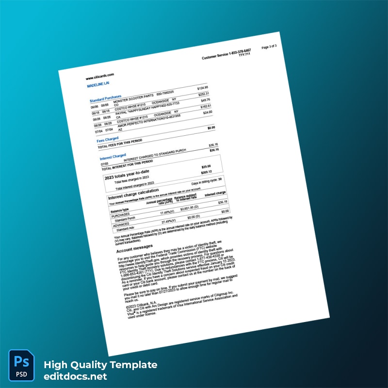 USA Citi Bank Statement Template in Word and PDF formats page 3