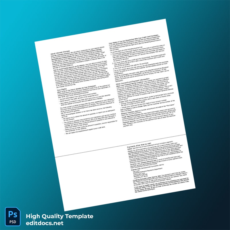 USA Citi Bank Statement Template in Word and PDF formats page 4