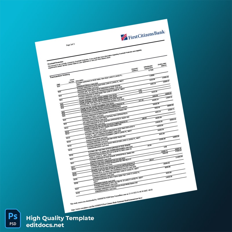 USA First Citizens Bank Statement Template in Word and PDF formats page 2