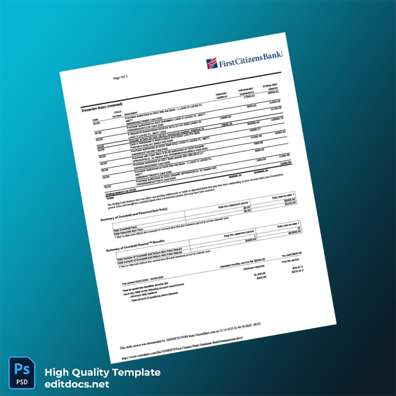 USA First Citizens Bank Statement Template in Word and PDF formats page 3