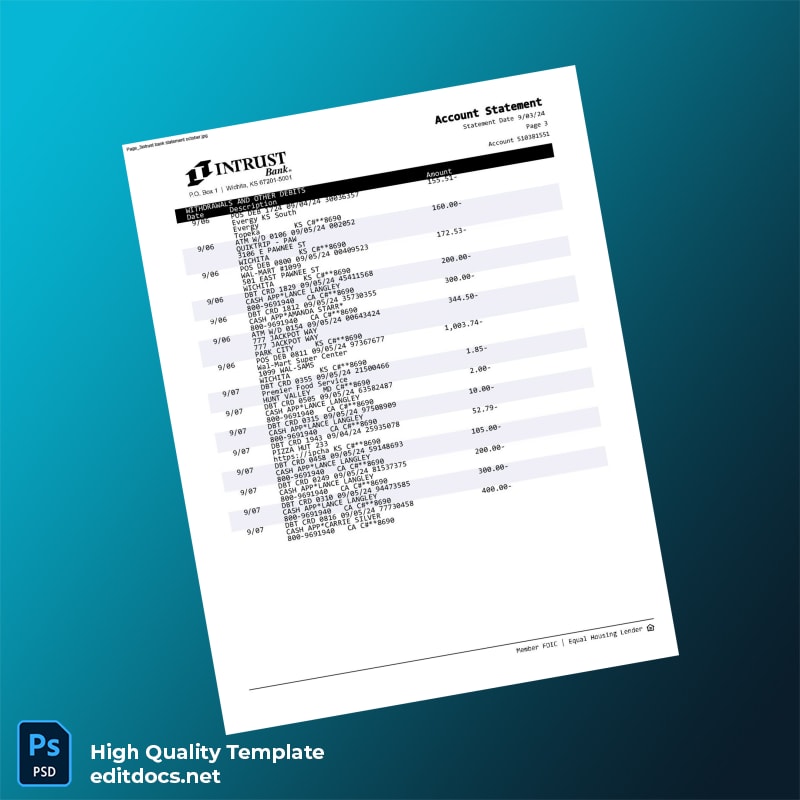 USA INTRUST Bank Statement Template in Word and PDF formats page 3