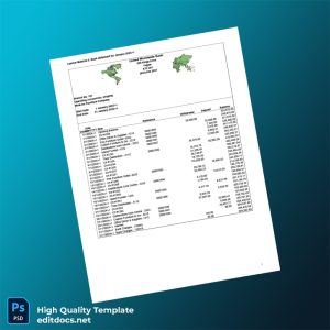 USA Mo Joe Furniture Company Bank Statement Template in Word and PDF formats