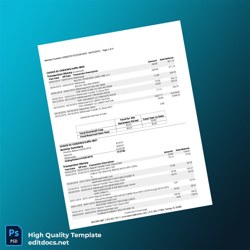USA Suncoast Bank Statement Template in Word and PDF formats page 2