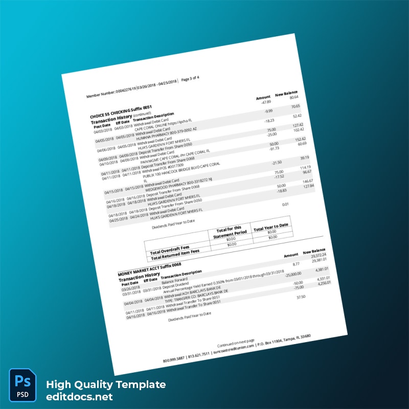 USA Suncoast Bank Statement Template in Word and PDF formats page 3