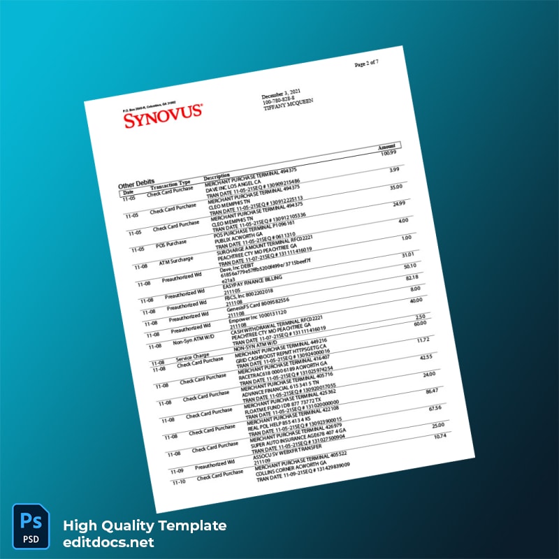 USA Synovus Bank Statement Template in Word and PDF formats page 2