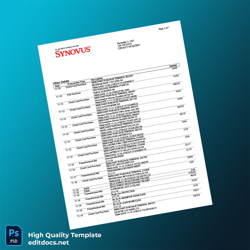 USA Synovus Bank Statement Template in Word and PDF formats page 3
