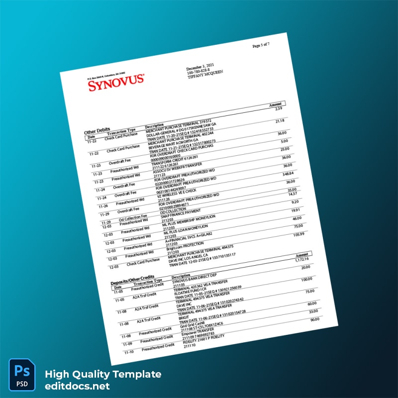 USA Synovus Bank Statement Template in Word and PDF formats page 5