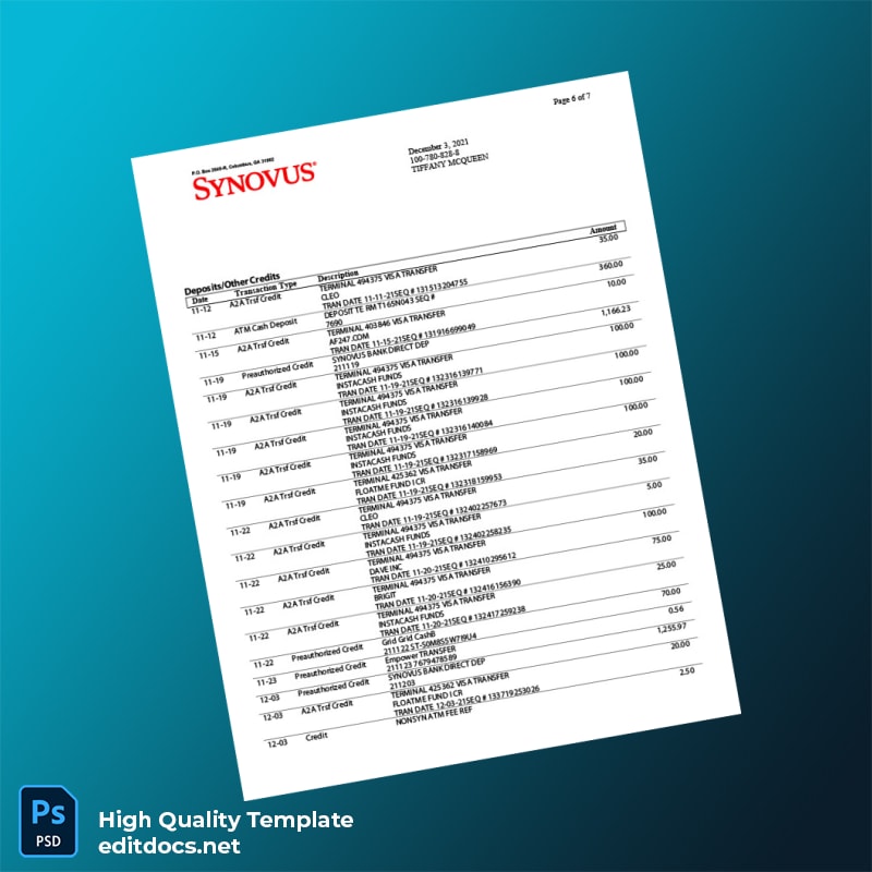 USA Synovus Bank Statement Template in Word and PDF formats page 6