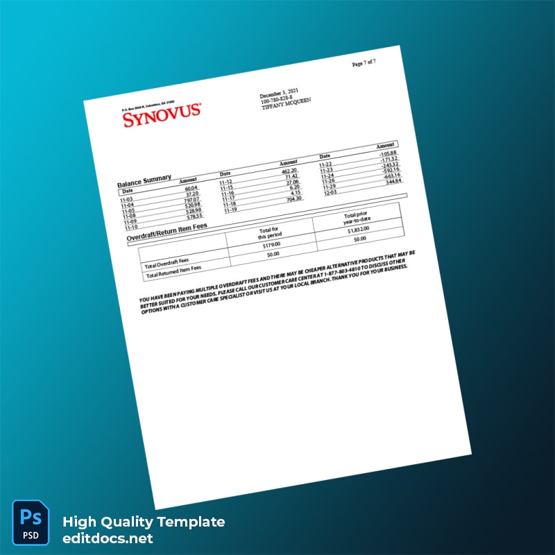 USA Synovus Bank Statement Template in Word and PDF formats page 7
