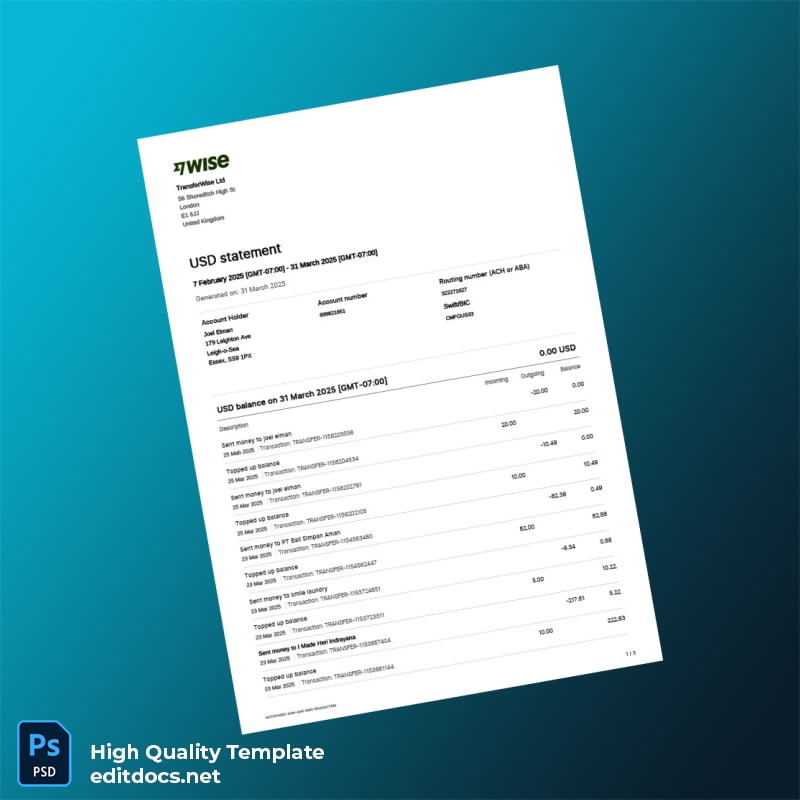 USA TransferWise Ltd Bank Statement Template in Word and PDF formats
