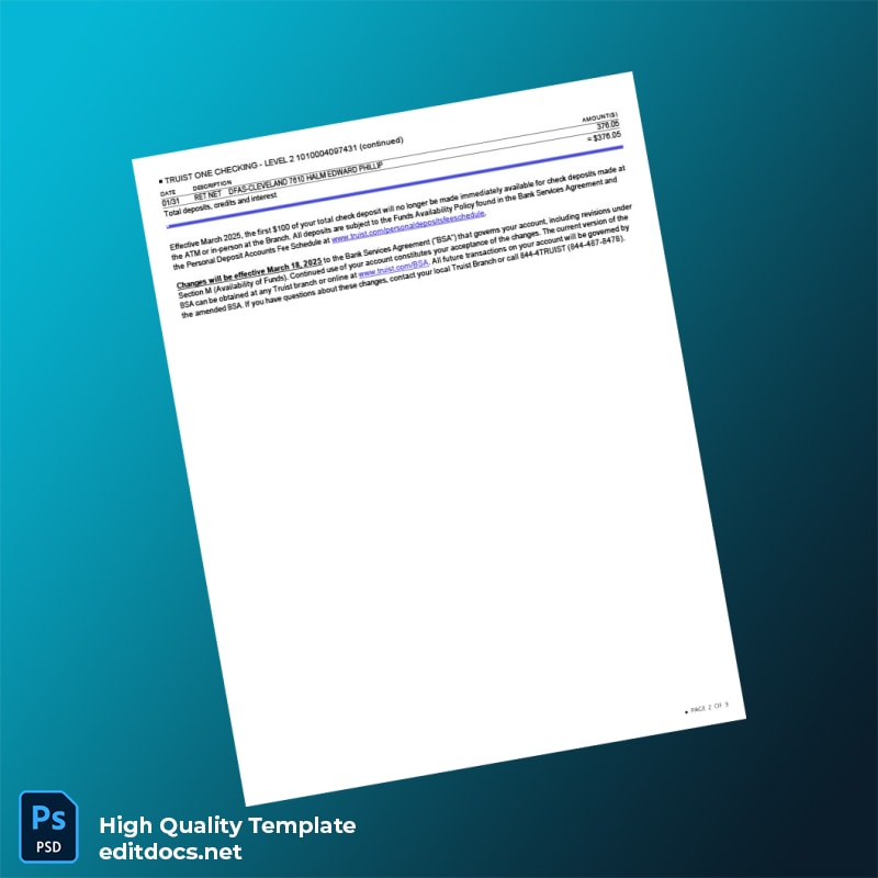 USA Truist Bank Statement Template in Word and PDF formats page 2