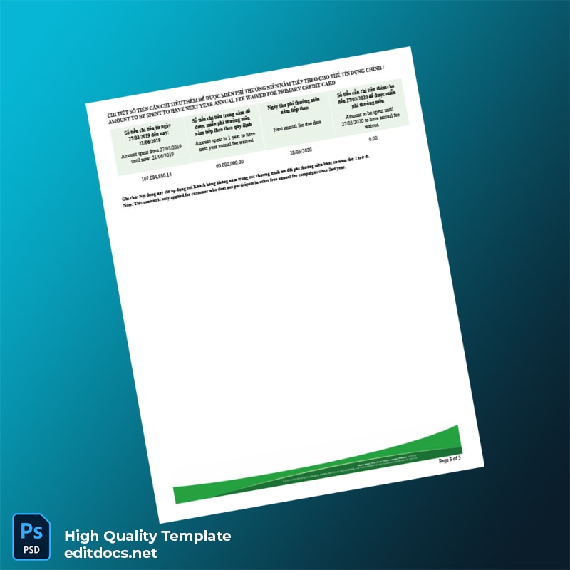 Vietnam Bank Statement Template in Word and PDF formats page 3