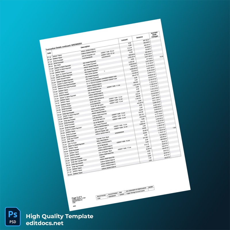 Zambia Bank Statement Template in Word and PDF formats page 2