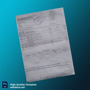 Zimbabwe CBZ Bank Statement Template in Word and PDF formats